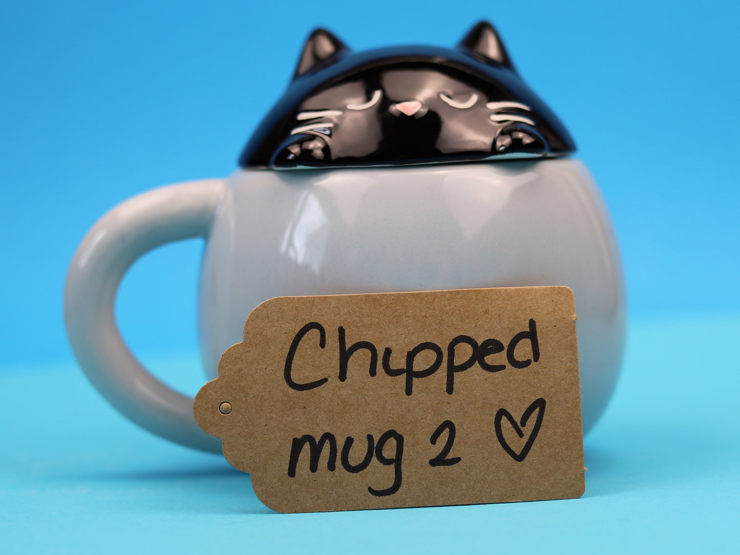 Meow Mistake Peek a Boo Mug