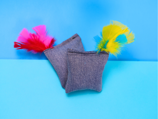 Denim Dreams - Missy - Meow Avenue Cat Store