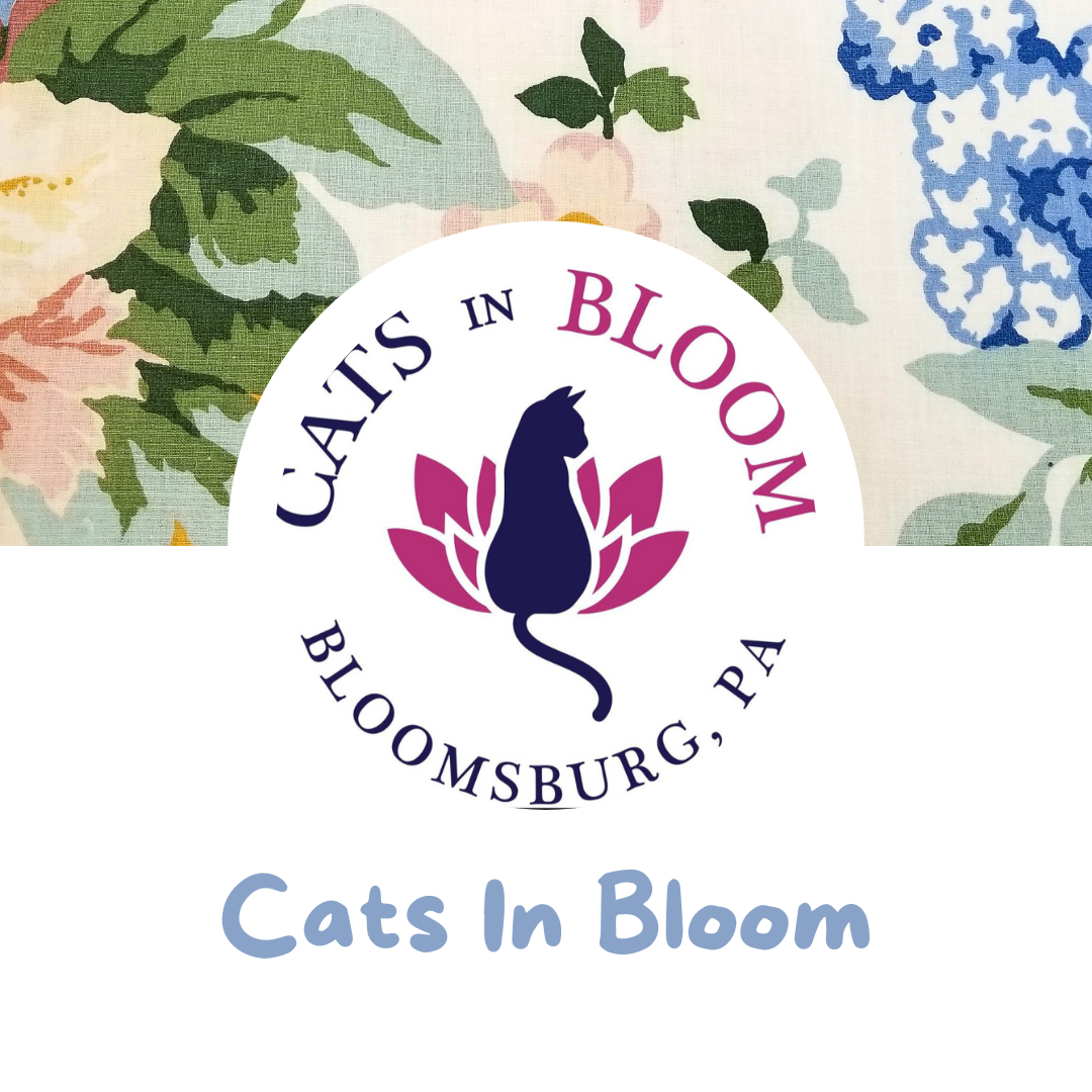 Foster A Pet Month - Cats In Bloom PA