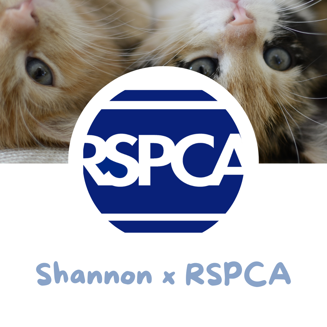 Foster A Pet Month - Shannon