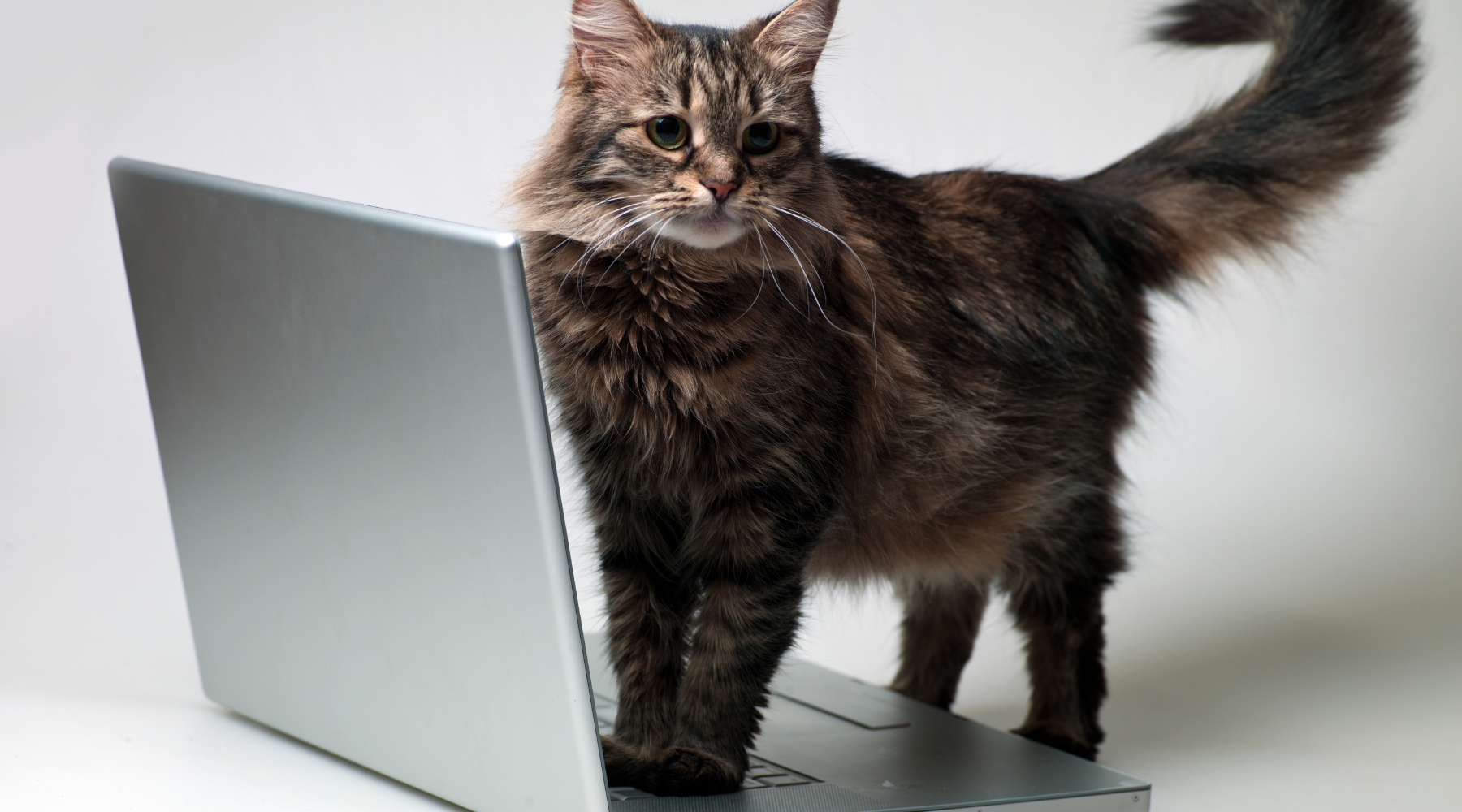 Keeping Safe During A Hurricane!