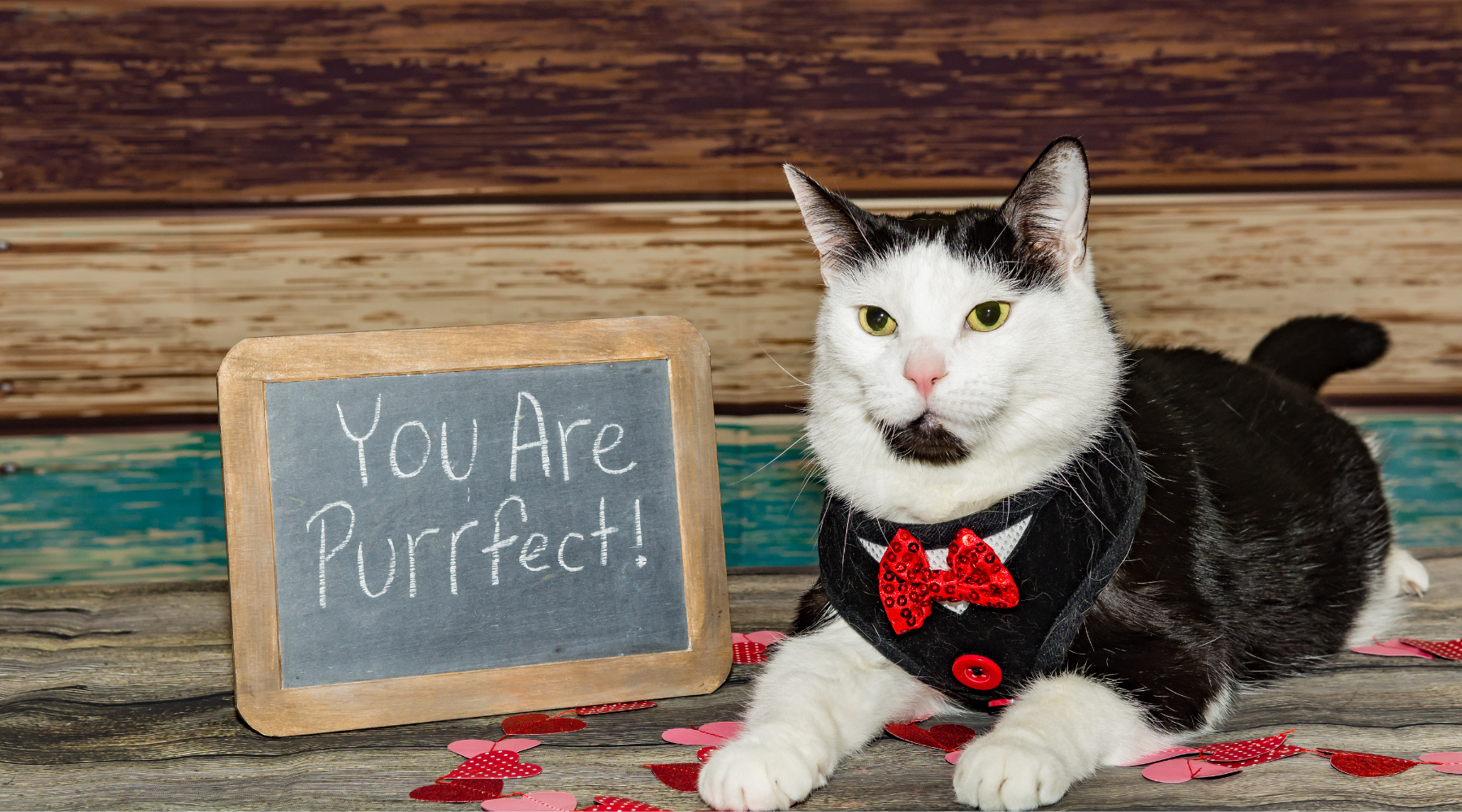 Yes or No to the flowers & plants!