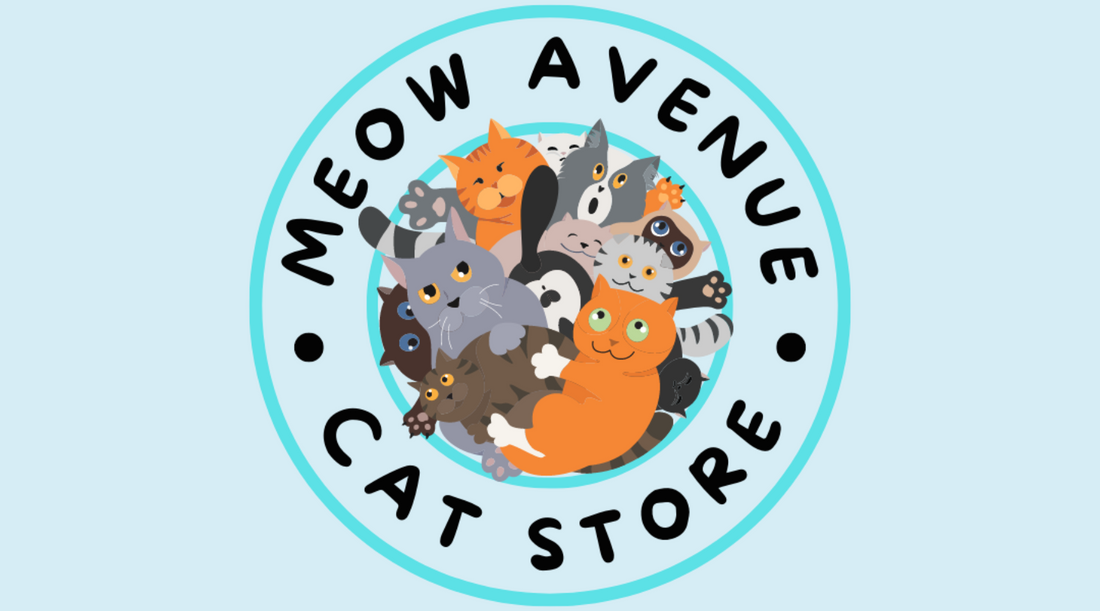 Meow Surprise!