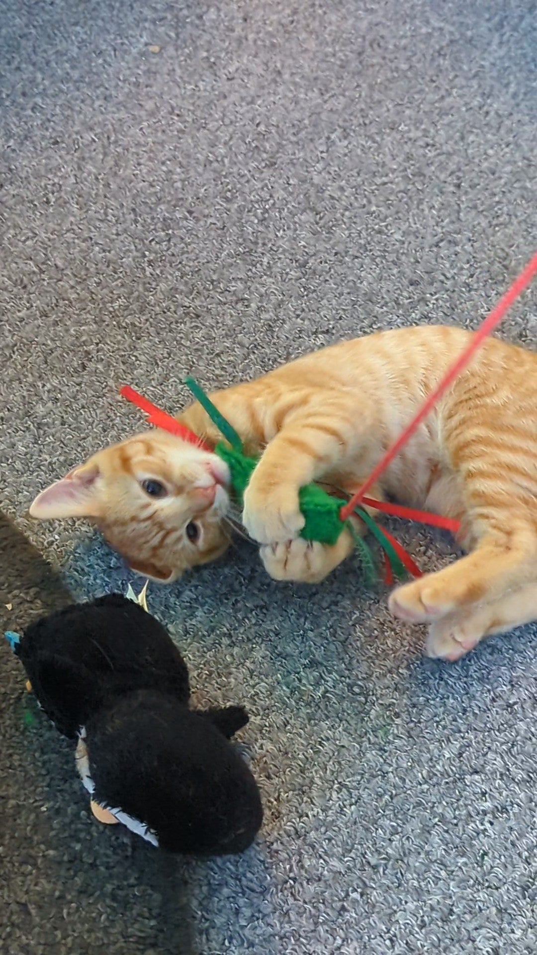 Crinkle & Wands!