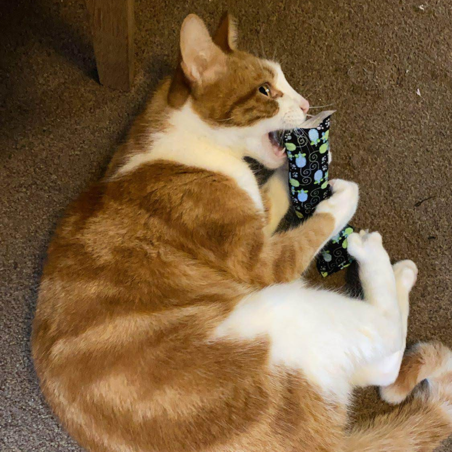 Meow Avenue Cat Store Catnip Toy Collection. Ginger Cat Playing With Handmade Catnip Toy, Blue & Green Mice Kicker Desgin