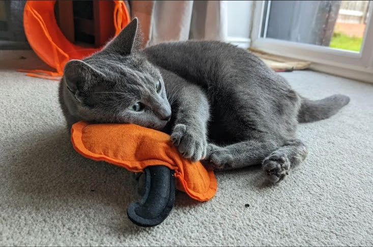 Meow Pumpkin - Meow Avenue Cat Store