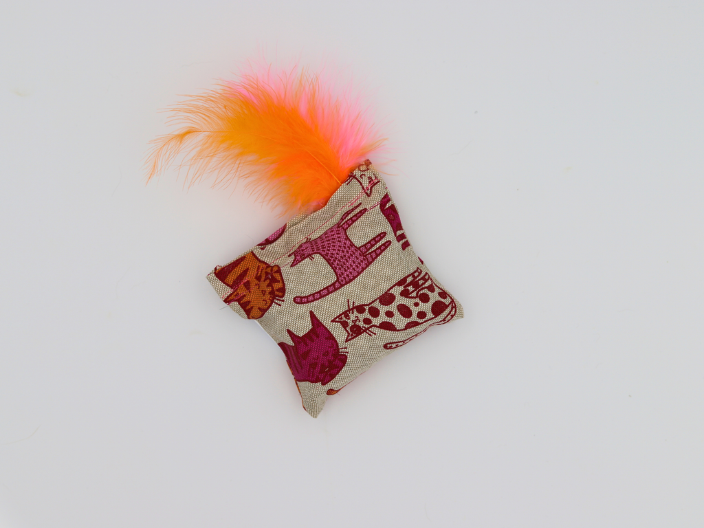 Missy - Cat Show Live Edition - Meow Avenue Cat Store