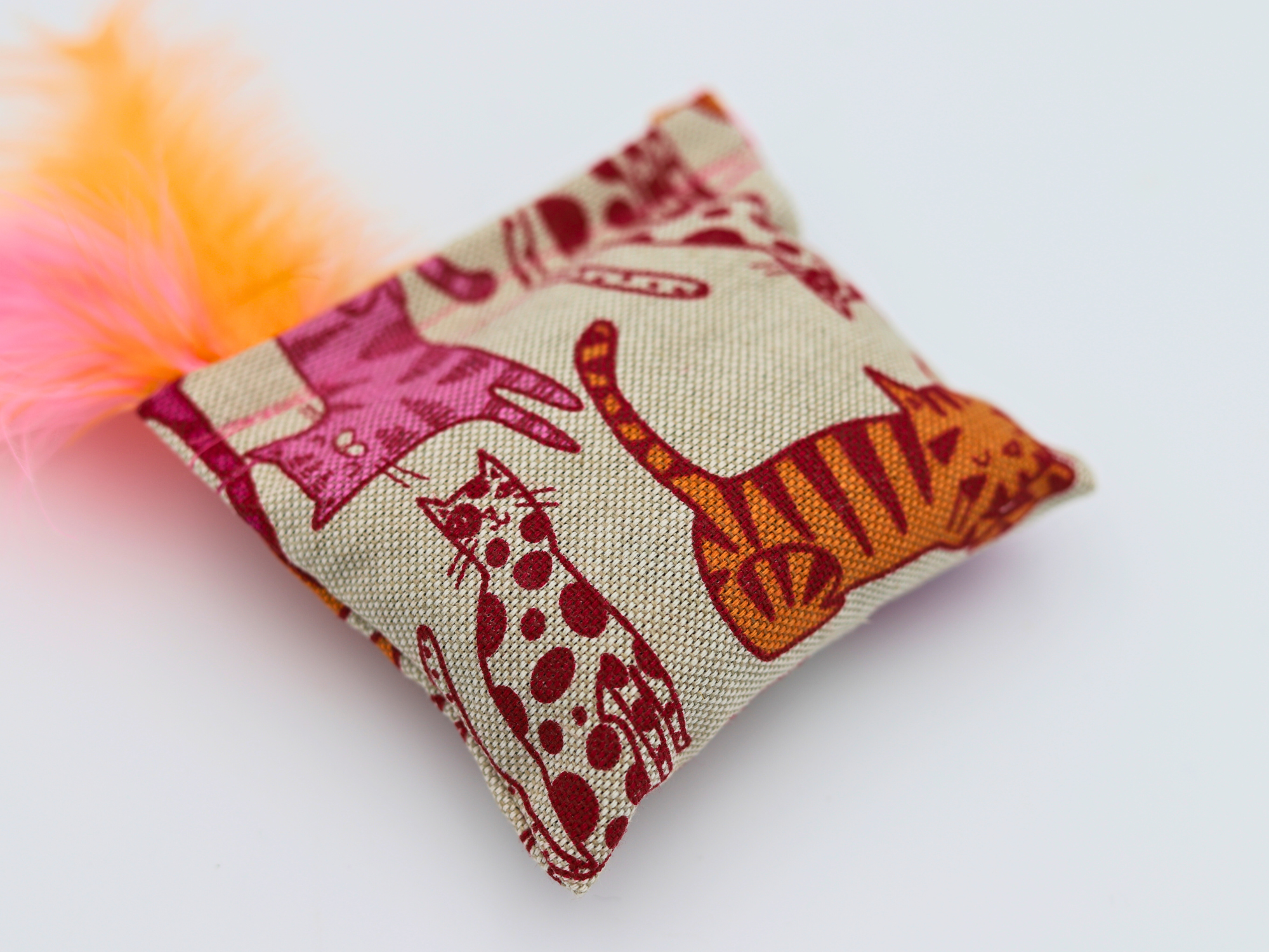 Missy - Cat Show Live Edition - Meow Avenue Cat Store