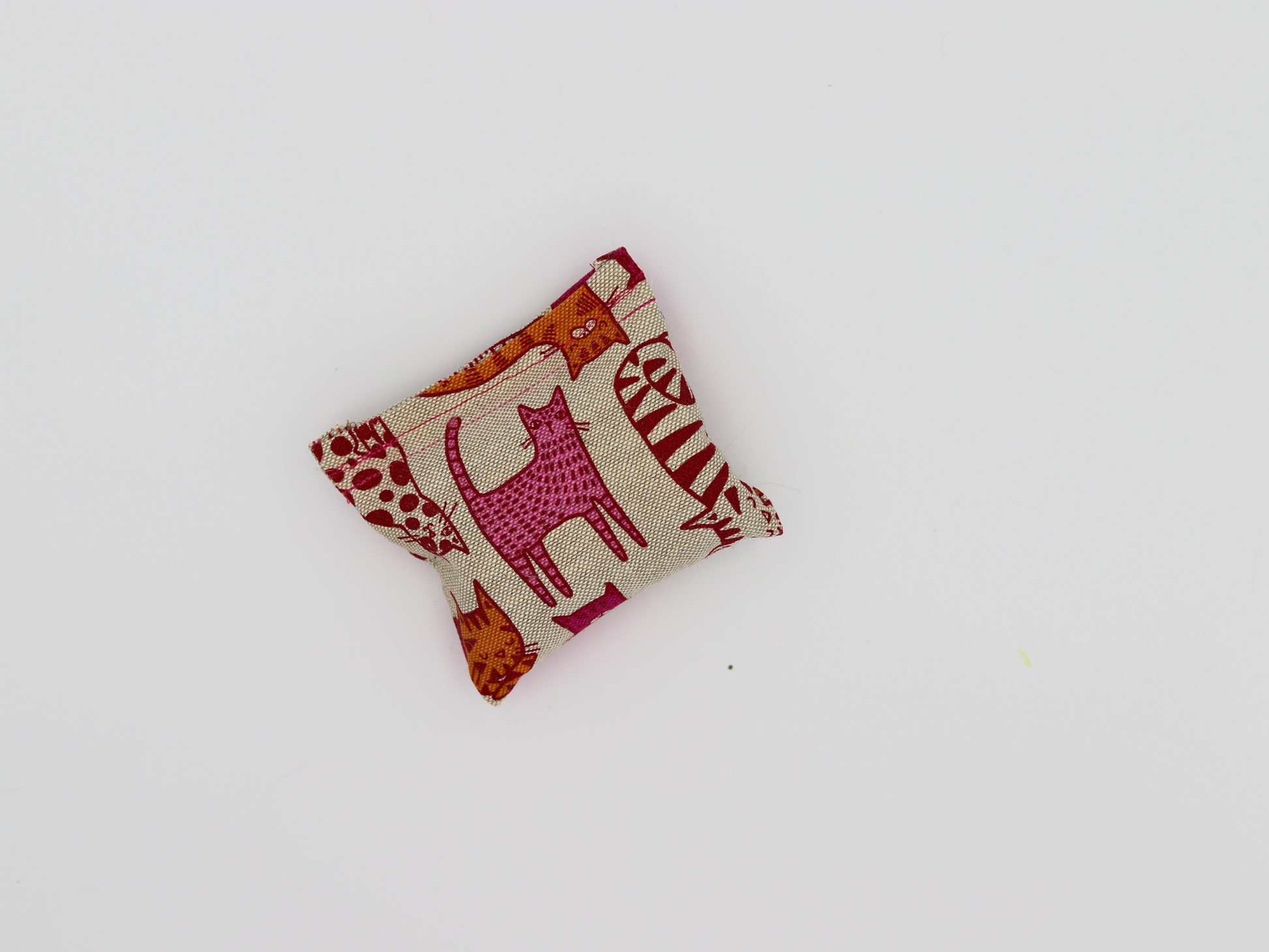 Missy Cat Show Live - Meow Mistake - Meow Avenue Cat Store