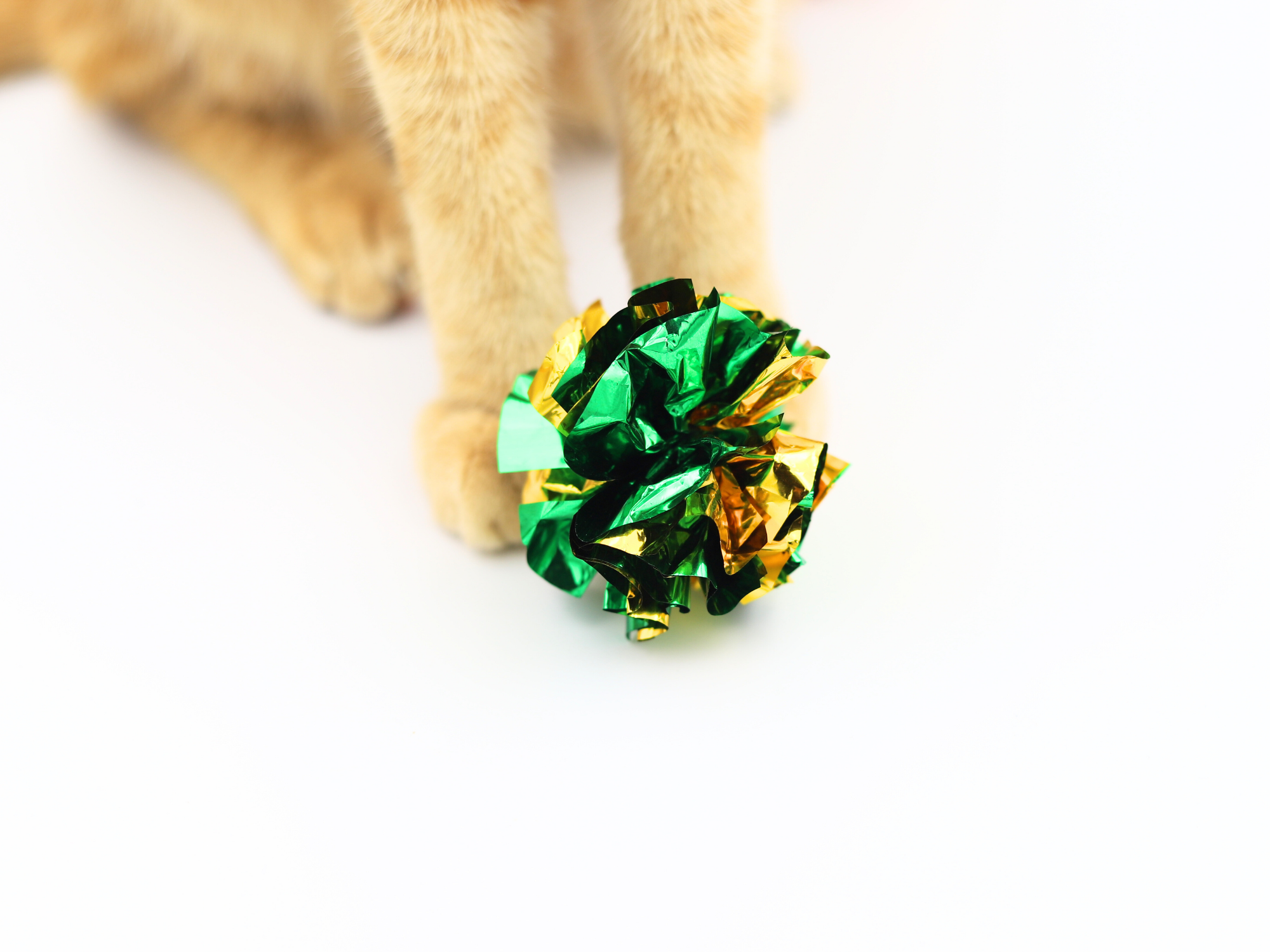 Crinkle Madness! - Meow Avenue Cat Store