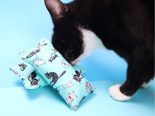 Mini Mega Dream Kicker - Meow Avenue Cat Store