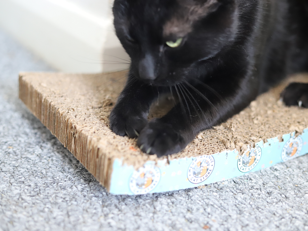 Scratch Boards - Meow Avenue Cat Store
