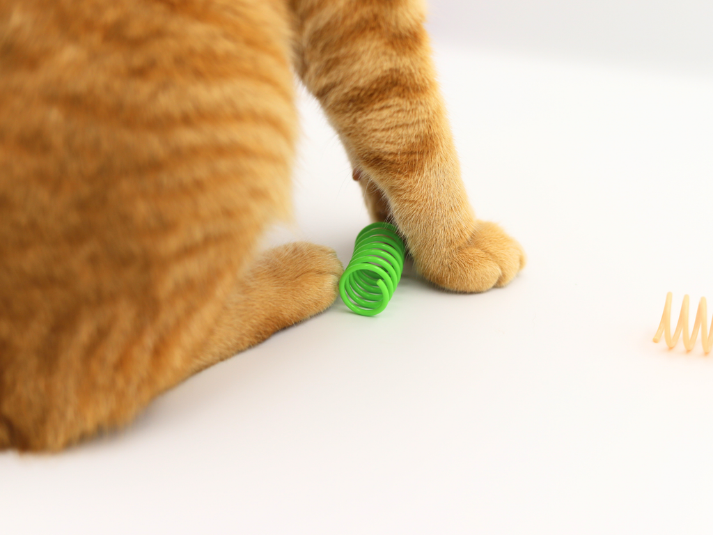 Meow Small Cat Springs - Meow Avenue Cat Store