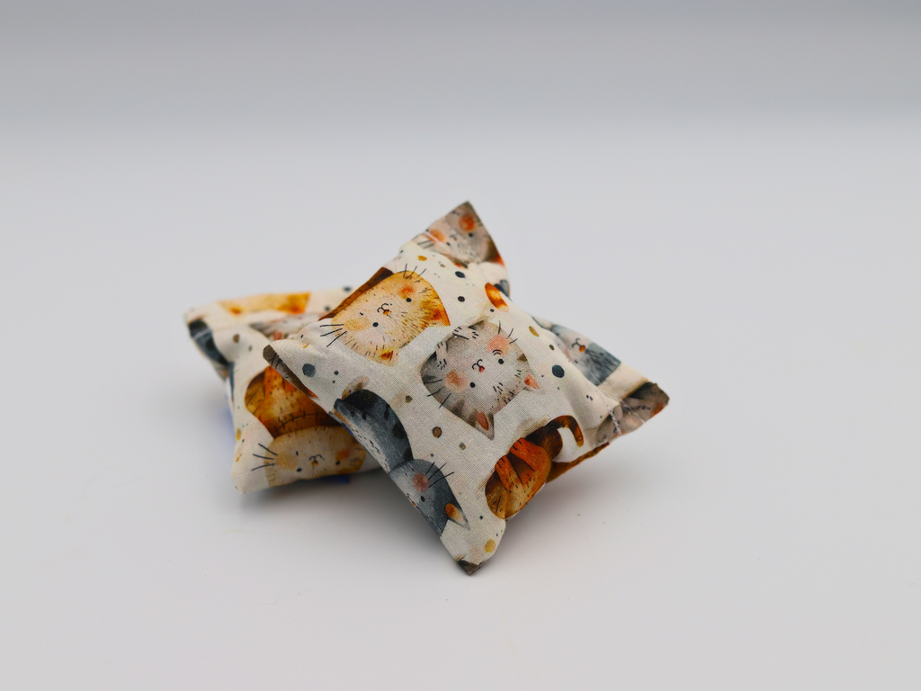 Munchkin - Cat Show Live - Meow Avenue Cat Store