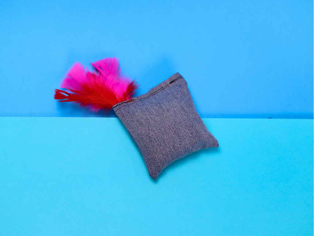 Denim Dreams - Missy - Meow Avenue Cat Store