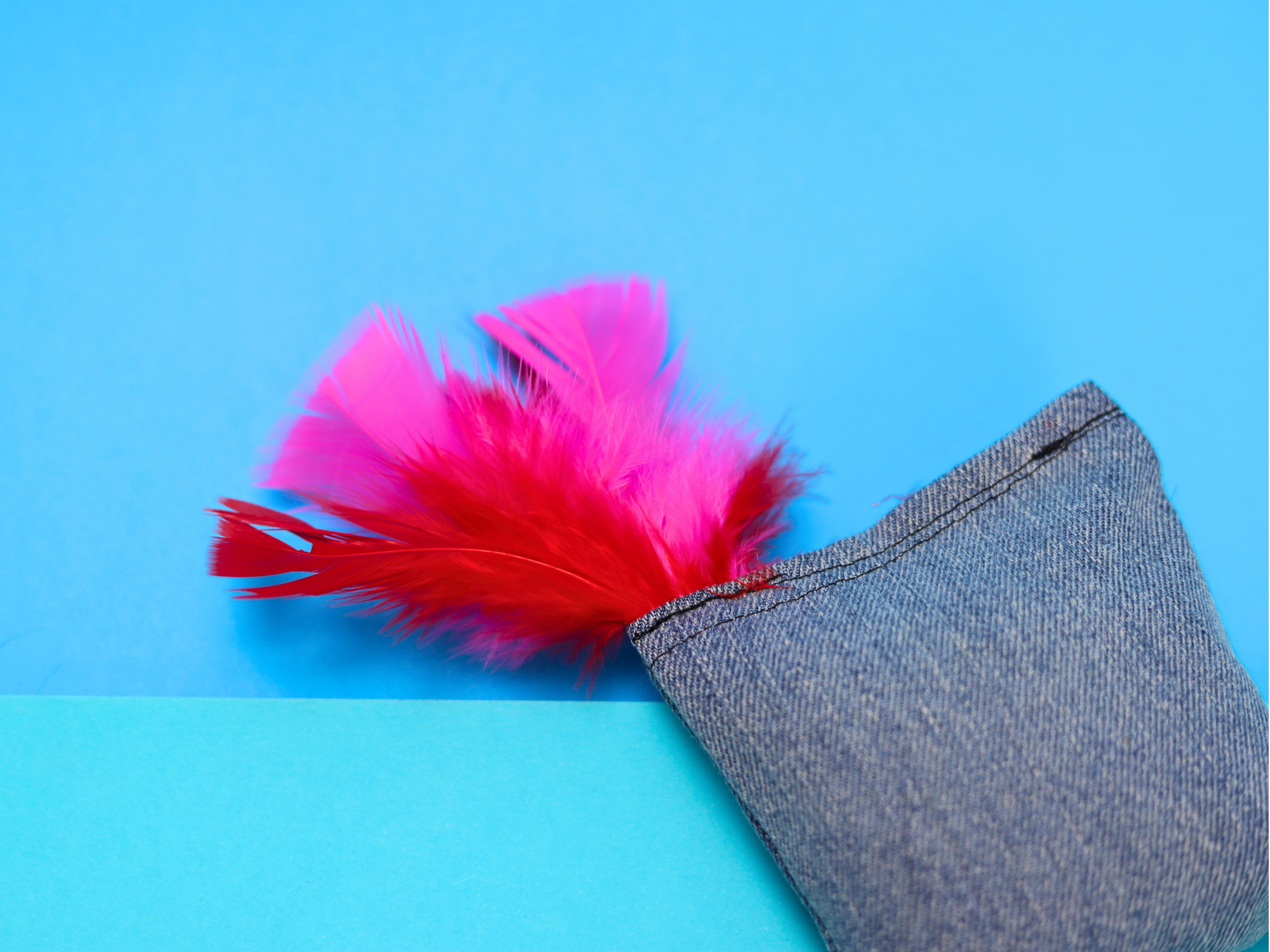 Denim Dreams - Missy - Meow Avenue Cat Store