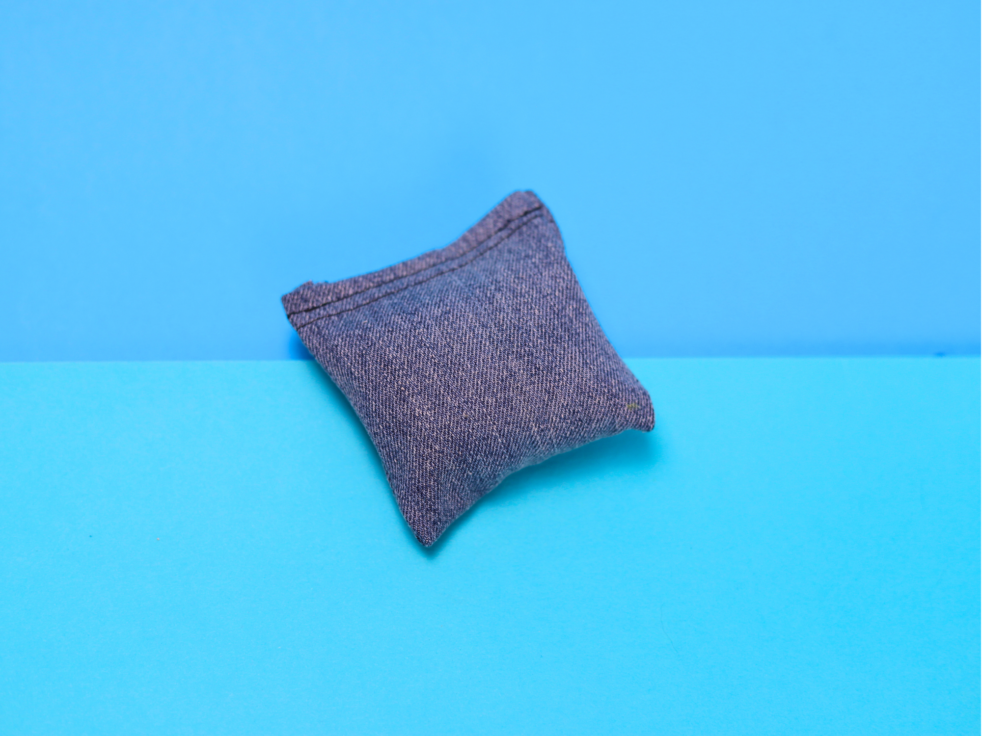 Denim Dreams - Munchkin - Meow Avenue Cat Store