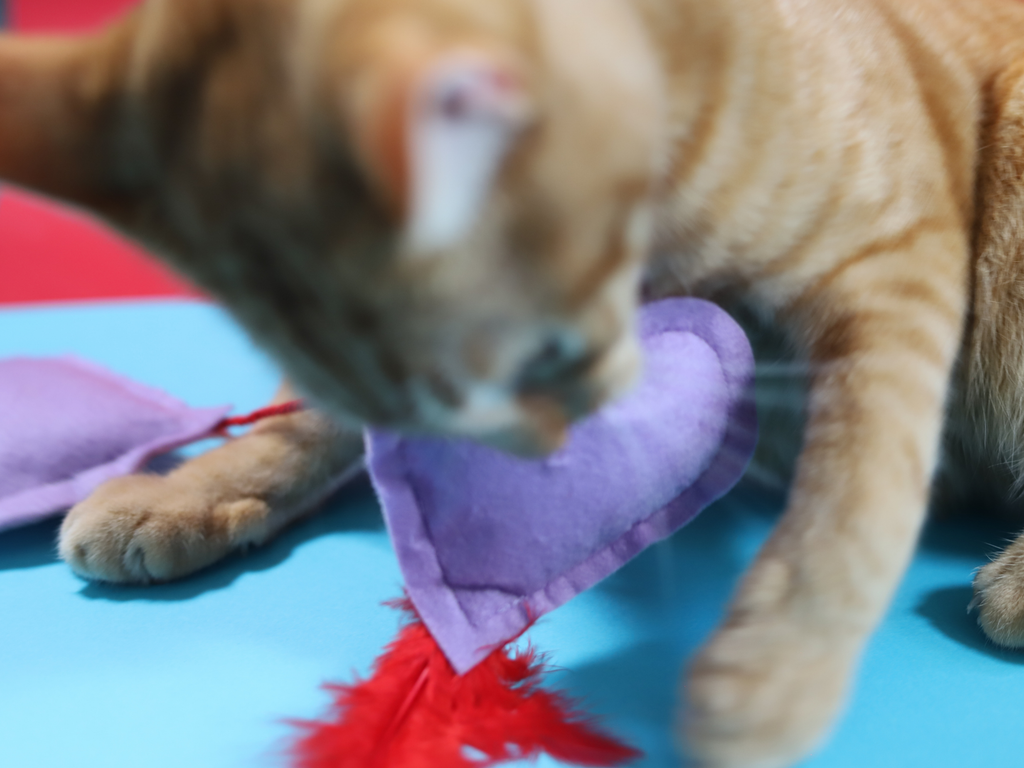 Love Is In The Air - Meow Avenue Cat Store