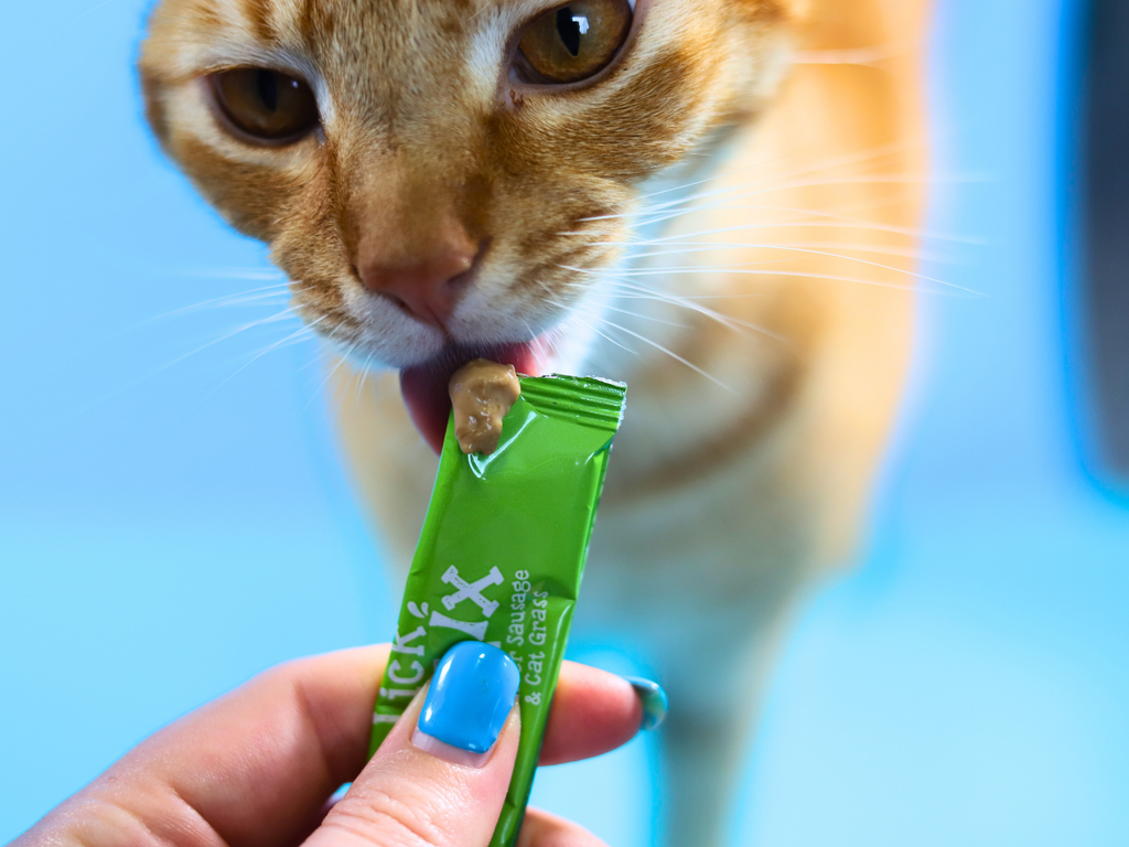 Webbox Lick e Lix - Meow Avenue Cat Store