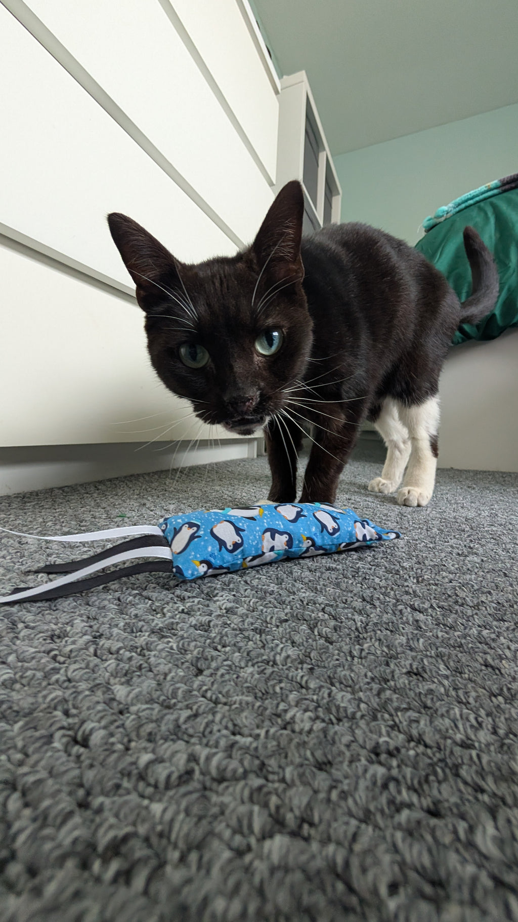 Monster's Penguin Kicker - Meow Avenue Cat Store