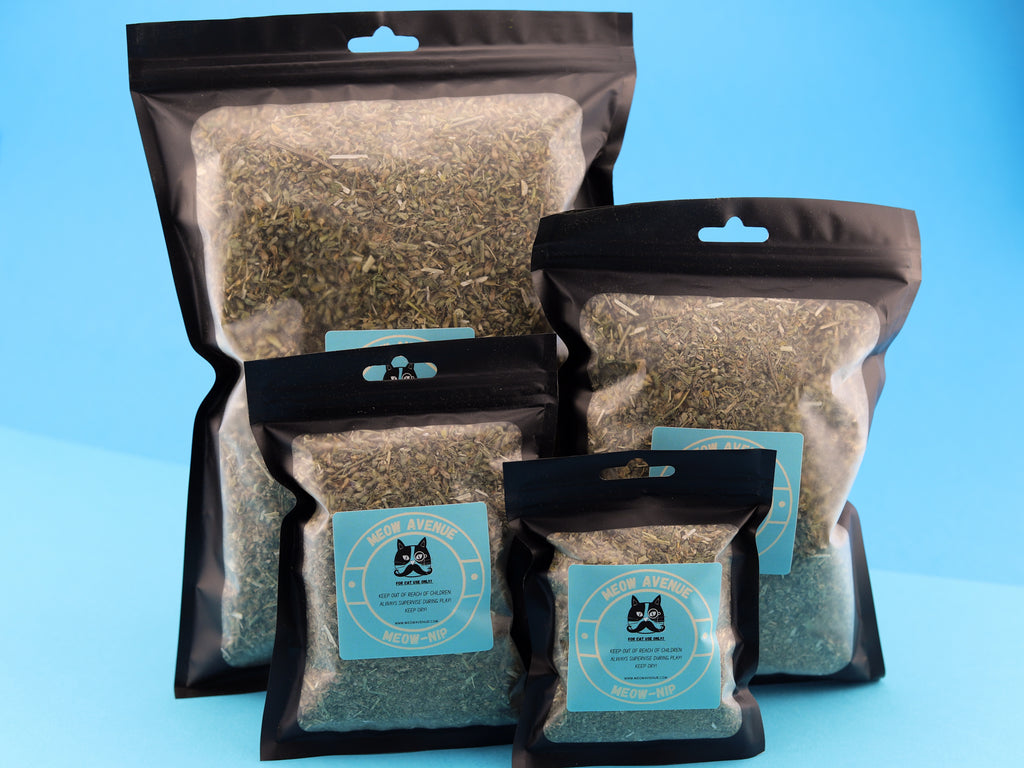 Meow Avenue MeowNip! - Meow Avenue Cat Store