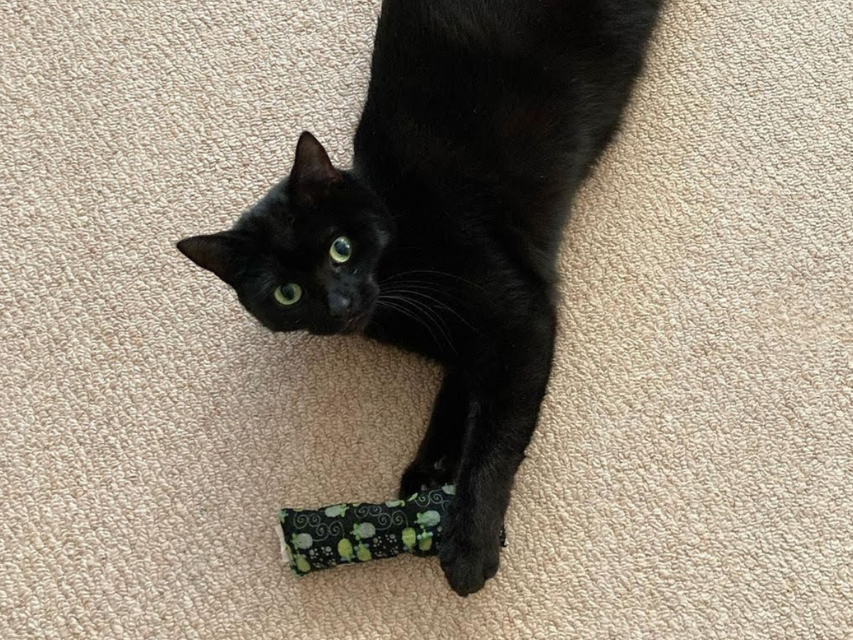 Meownip Kickers - Meow Avenue Cat Store