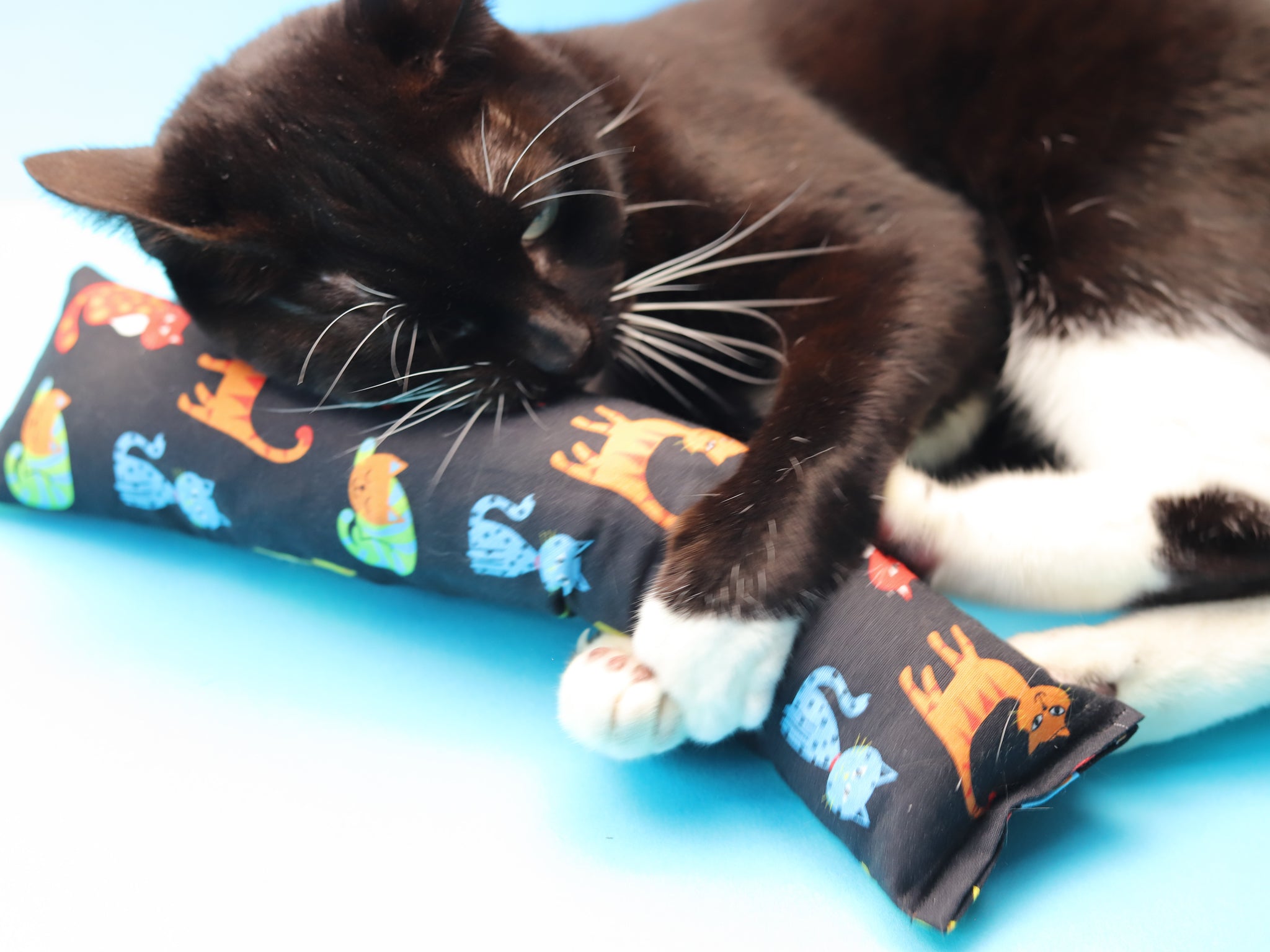 Meow Avenue Mega Kickers Dream - Meow Avenue Cat Store